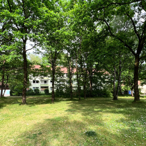 Beitragsbilder Munster 4