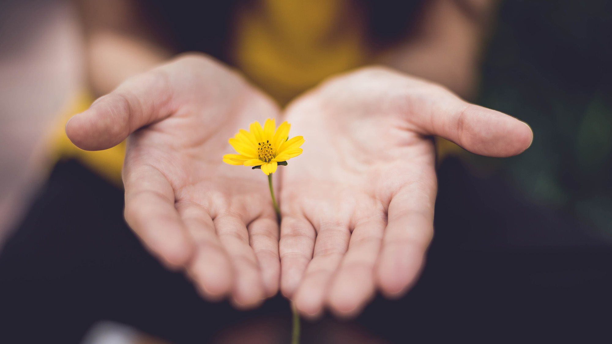 Wir spenden an das Dominikus-Ringeisen-Werk